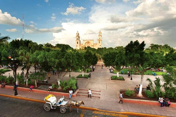 Merida Airport Private Shuttle With WIFI - Tips for a Smooth Ride