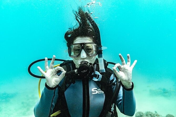 Mesmerizing Private SCUBA Diving Charter Review - The Sum Up