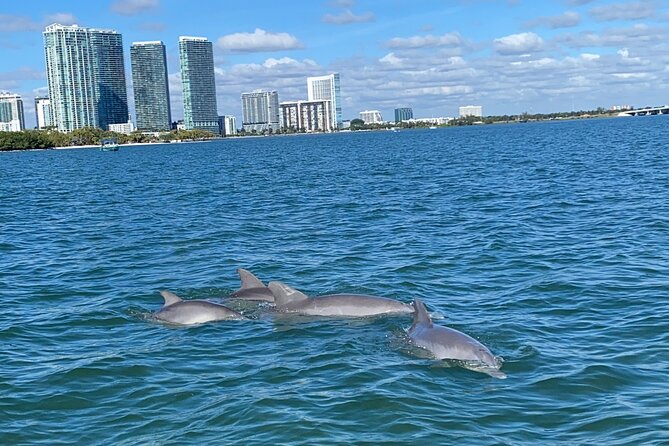 Miami: Aqua Excursion (Flyboard + Tubing + Boat Tour) - Scenic Boat Tour Highlights
