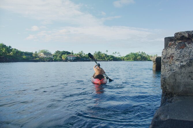 Midday Meander - Kealakekua Bay Kayak and Snorkel Adventure - Snorkeling in a Tropical Oasis