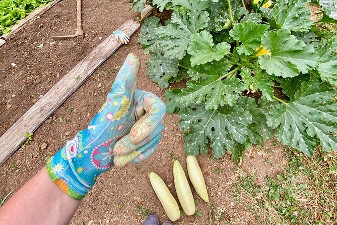 Mindful Yoga Retreat in Nature - What to Bring and Pack