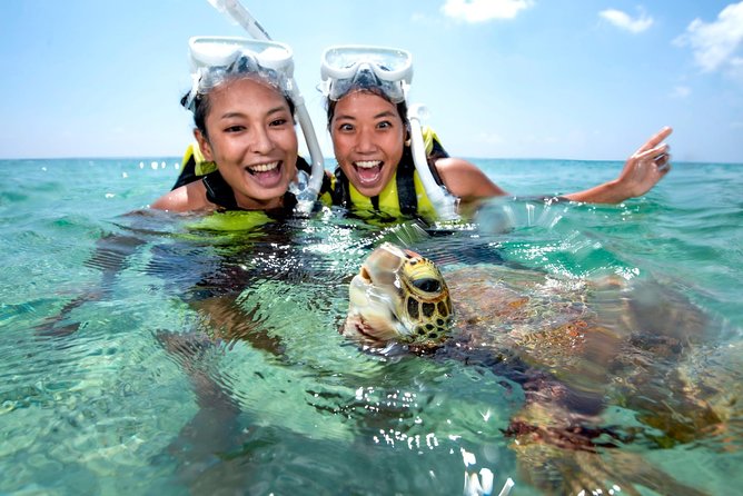 Miyakojima / Snorkel Tour to Swim With Sea Turtles - Preparing for the Tour
