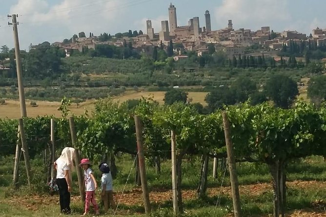 Montalcino and Pienza Tuscany Wine&Cheese Fullday From Florence - Participant Information