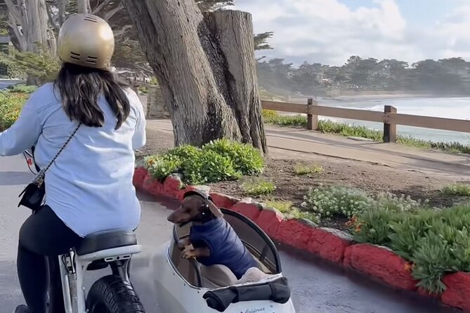Monterey Bay Famous Dog Friendly Electric Bike and Sidecar Tour - How to Book Your Spot