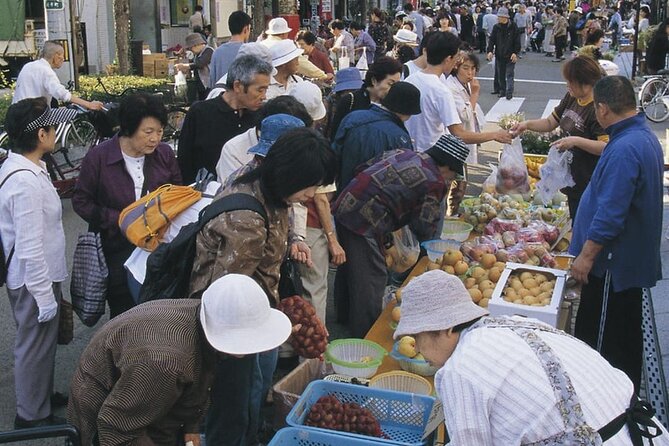 Morioka Full-Day Private Tour With Government-Licensed Guide - Customizing Your Morioka Tour Experience