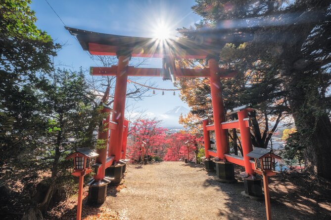 Mount Fuji and Lake Kawaguchi Private Day Trip From Tokyo - Additional Information