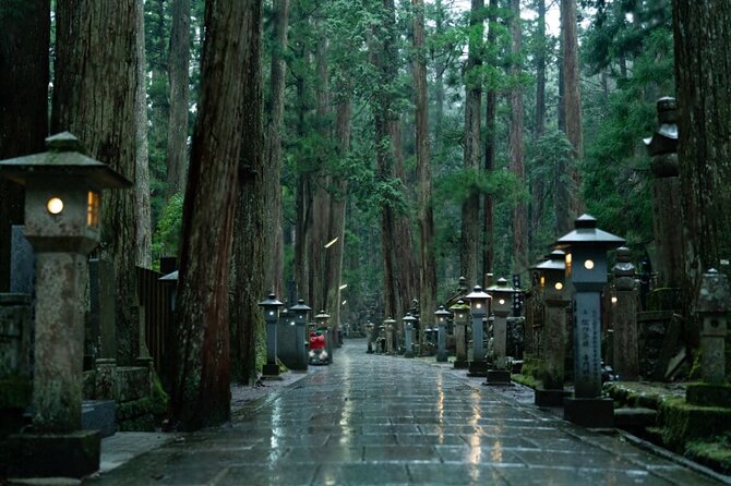 Mount Koya, Wakayama and Nachi Waterfall Tour - Frequently Asked Questions