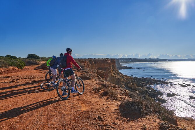 Mountain Bike Tour Conil De La Frontera Wine Bike Tour - Tips for an Enjoyable Experience