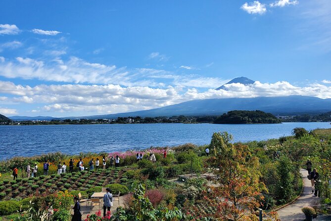 Mt. Fuji Guided Private Tour GREEN NUMBER PLATES - About the Tour Operator