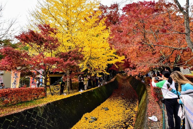 Mt. Fuji & Hakone Day Tour From Tokyo by Car With JP Local Guide - Highlights of the Tour