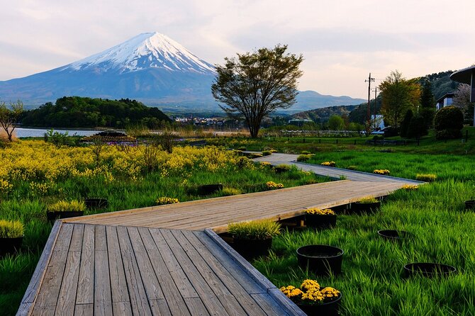 Mt.Fuji Private SightSeeing Day Tour (From Tokyo) - Getting There