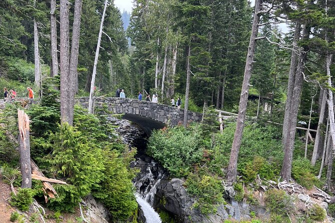 Mt. Rainier Full-Day Adventure (Luxury SUV - Up to 7 Guests) - Exploring Mt. Rainiers Scenic Wonders