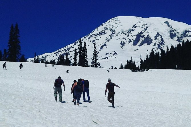 Mt Rainier Private Tour Experience in SUV - Customizing Your Experience