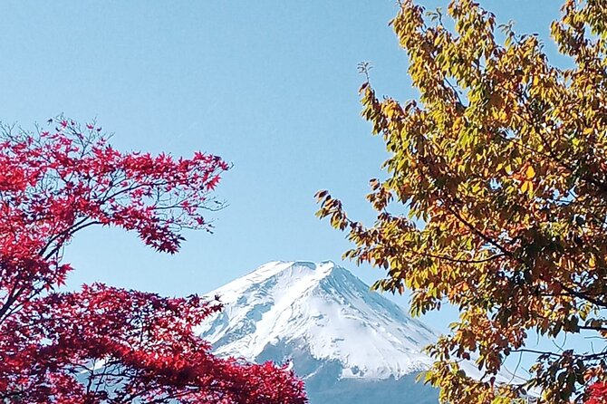 Muslim Friendly Mount Fuji Tour With English Speaking Chauffeur - Booking and Logistics