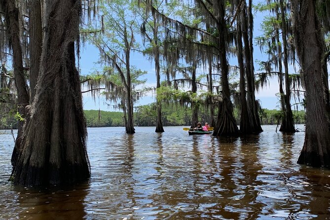 Mystical Private Kayak and Canoe Tours on Caddo Lake - Frequently Asked Questions