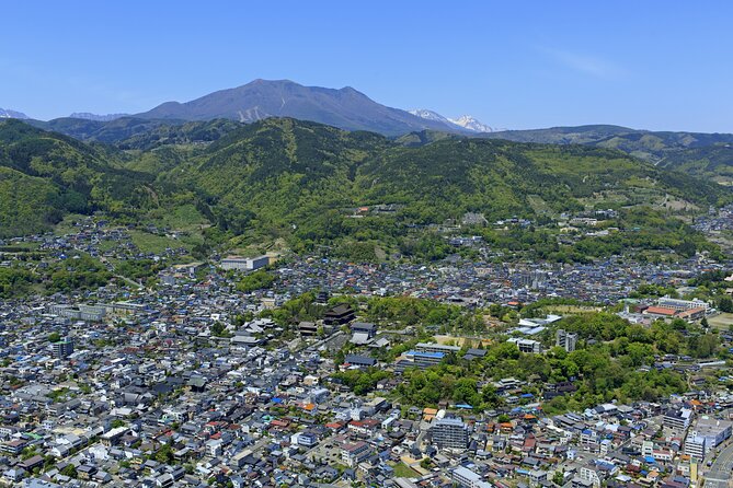 Nagano All Must-Sees 4hr Private Tour With Licensed Guide - Payment and Private Vehicle Options