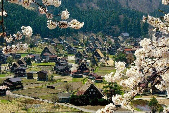 Nagoya to Takayama & Shirakawa World Heritage English Guide - Enhancing the Experience