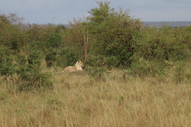 Nairobi National Park Tour - Frequently Asked Questions