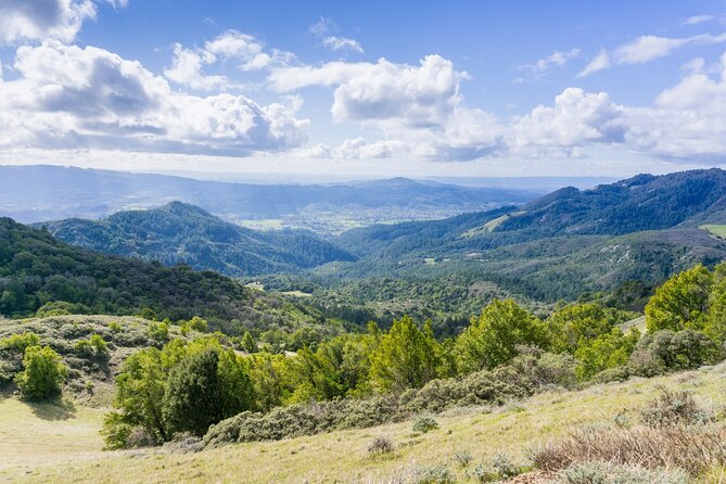 Napa Valley Self-Guided Audio Driving Tour - Exploring Napa Valley at Your Own Pace