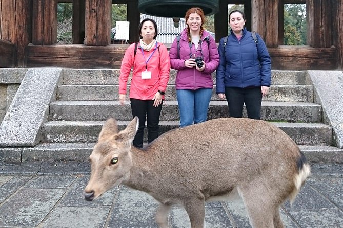 Nara Todaiji Lazy Bird Walking Tour - Logistics and Accessibility