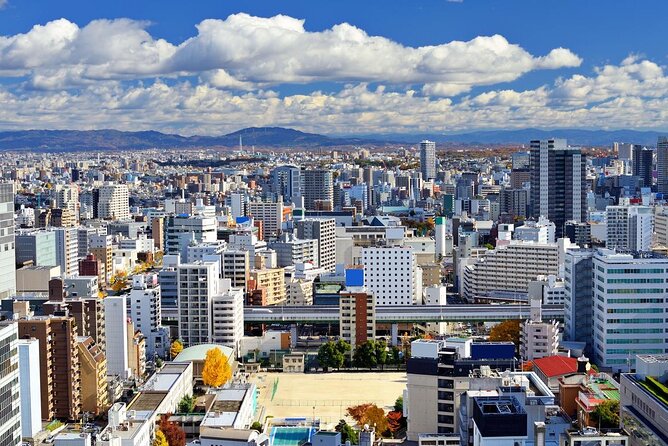 Narita Airport to Nagoya City Japan Private Transfer - Overtime Surcharge and Flight Delays