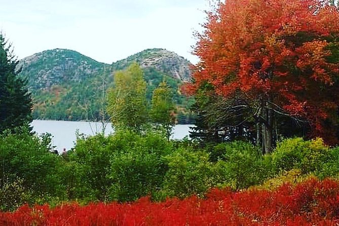 Narrated Bus Tour of Bar Harbor and Acadia National Park - Recommended for Relaxing Park Enjoyment