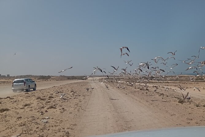 National Park & Sahara Day Trip With Food - Frequently Asked Questions