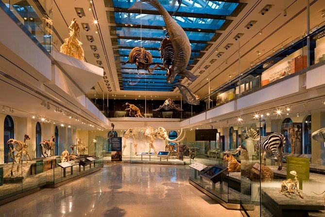 Natural History Museum of Los Angeles County Admission - Visitor Feedback and Concerns