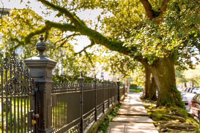 New Orleans Small Group Garden District History and Architecture Tour - Tour Accessibility and Booking Details