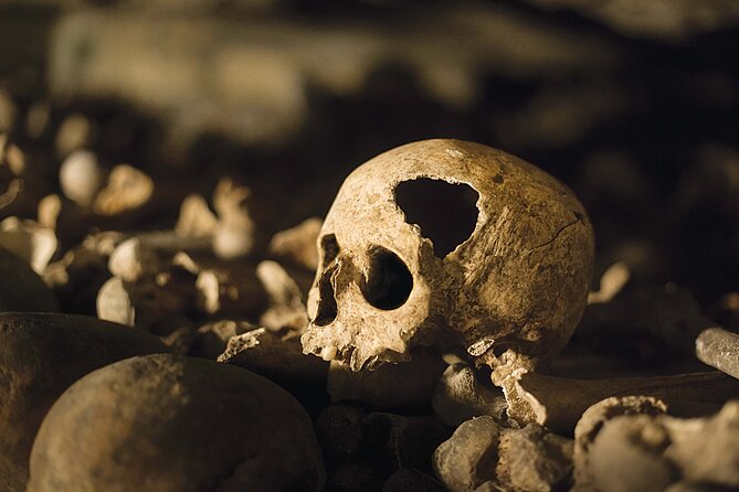 New Orleans Voodoo History Walking Tour - Understanding the Tours Feedback and Response
