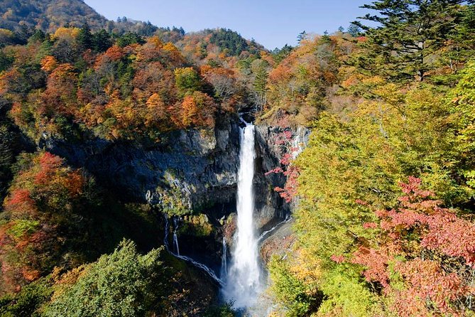 Nikko Tour, From/To Tokyo, Tochigi, 2- 12 Guests - Booking and Cancellation Policy