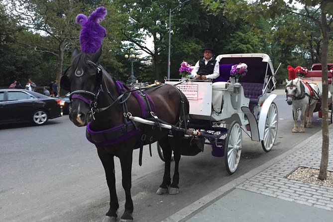 NYC Central Park Horse and Carriage Ride: Long Ride 45 Min - Additional Considerations
