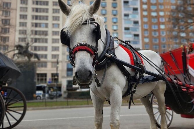 NYC Horse and Carriage Central Park Tours - Additional Information