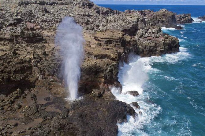 Oahu VIP Circle Island Tour,Private & LUXURY,Northshore,Sunset - Frequently Asked Questions