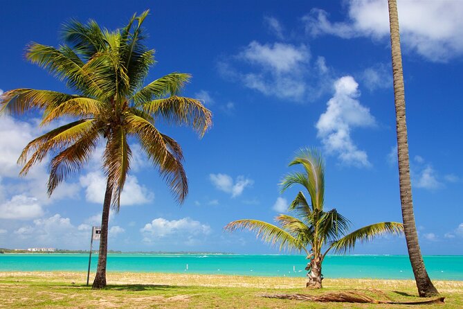 Off Trail Rainforest El Yunque and Beach Adventure Tour - Frequently Asked Questions