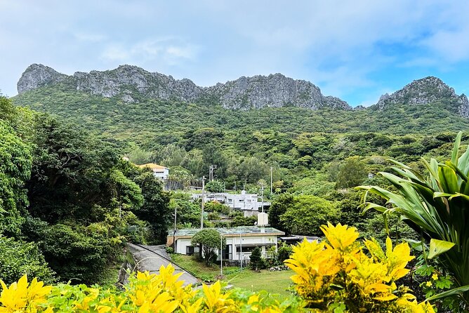 Okinawa Blue Zone 4 Days Discovery Adventure in UNESCO Site - Departure and Farewell