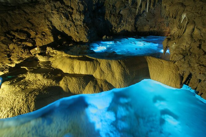 Okinawa Day Tour to the Top Sightseeing Spots - Booking and Confirmation Process
