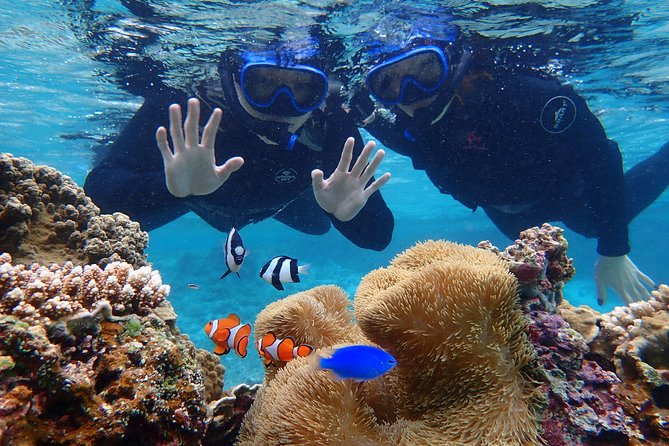 Okinawa Miyako Beach SUP or Canoe and Tropical Snorkeling - Capturing Memories