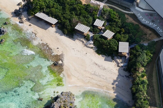 Okinawa Sightseeing Bus Tour - Churaumi Aquarium