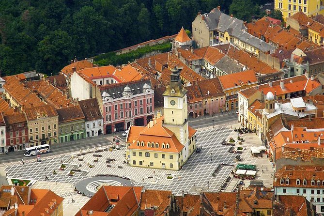 One Day Tour Dracula Castle. Libearty Bear Sanctuary. From Brasov - Ask Away