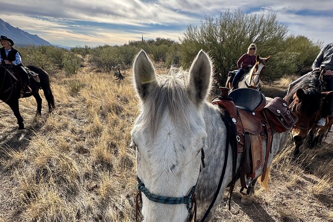 One Hour Guided Horseback Ride - Additional Tips