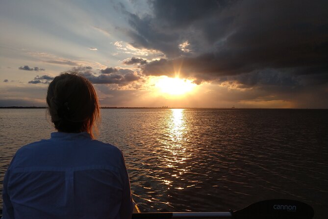 One Single Kayak Rental for 2 Hours With Manatee & Dolphin Sightings! - Traveler Reviews