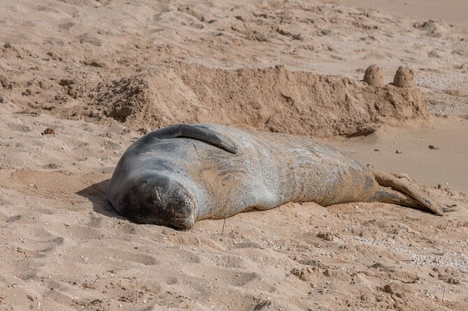 One Unforgettable Day on Oahu | Circle Island Experience - Tips for an Unforgettable Day