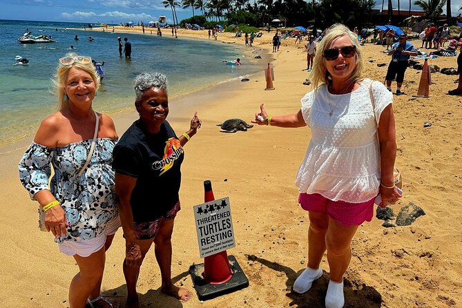 Opaekaa Falls, Spouting Horn, Poipu Beach - Tour Highlights and Traveler Reviews