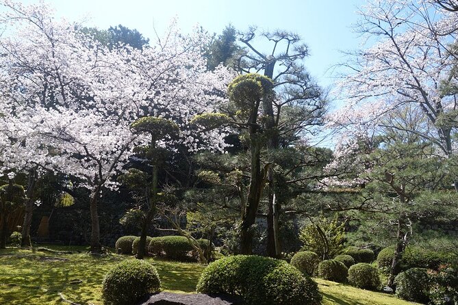 Osaka and Kyoto Stunning Cherry Blossoms and Sakura Cruise Tour - Frequently Asked Questions