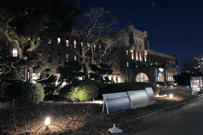 Osaka Castle & Back Alley Gourmet Private Tour - Private Tour Experience