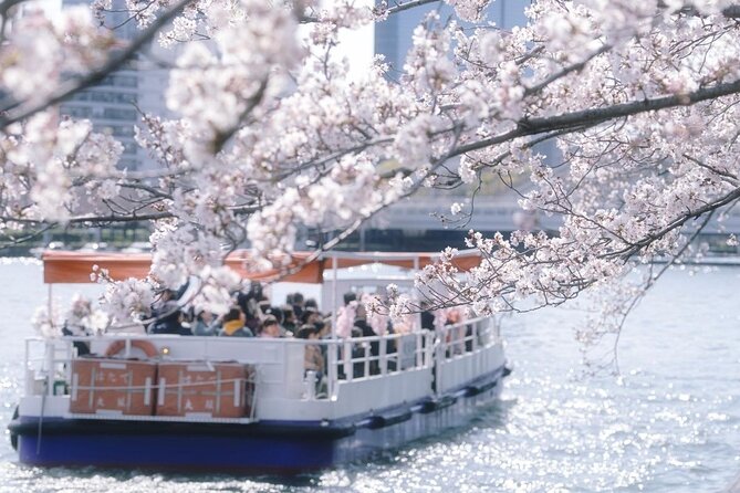 Osaka Cherry Blossom Tour With a Local: 100% Personalized Private - Whats Included and Pricing Details