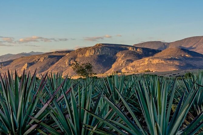 Overnight 2-Day Experience in Beautiful Oaxaca - Tips for Enhancing Your Experience