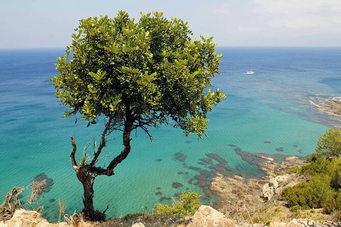 Pafos Zoo Visit & Blue Lagoon Cruise With Local Guide Limassol - Health and Safety Guidelines