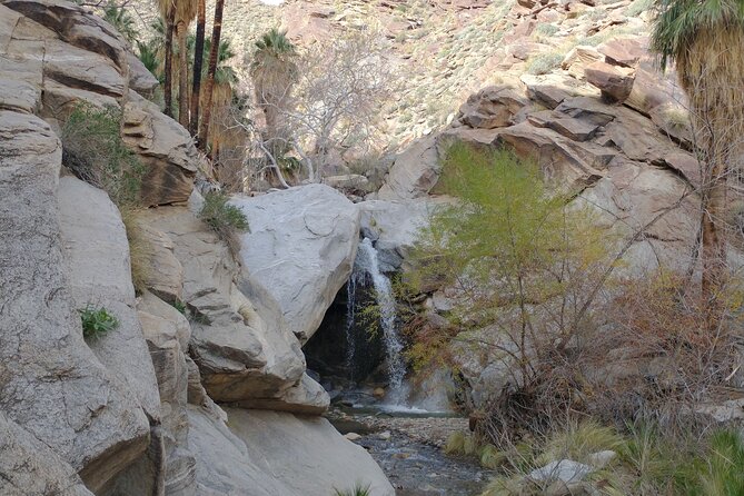 Palm Springs Desert Oasis Hike in Indian Canyons - Scenic Highlights of the Canyon